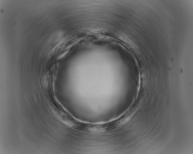 X0000077370165200611031920