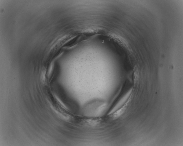 X0000077370166200611031920