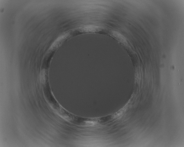 X0000077370167200611031920