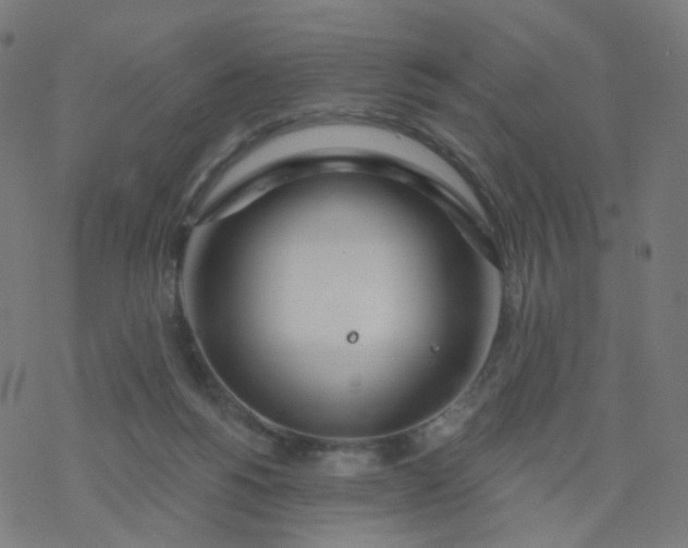 X0000077370168200611031920