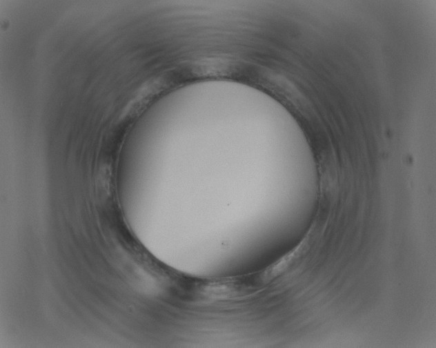 X0000077370171200611031920