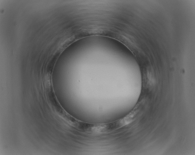 X0000077370172200611031920