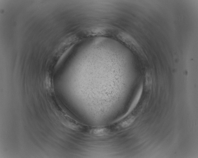 X0000077370173200611031920