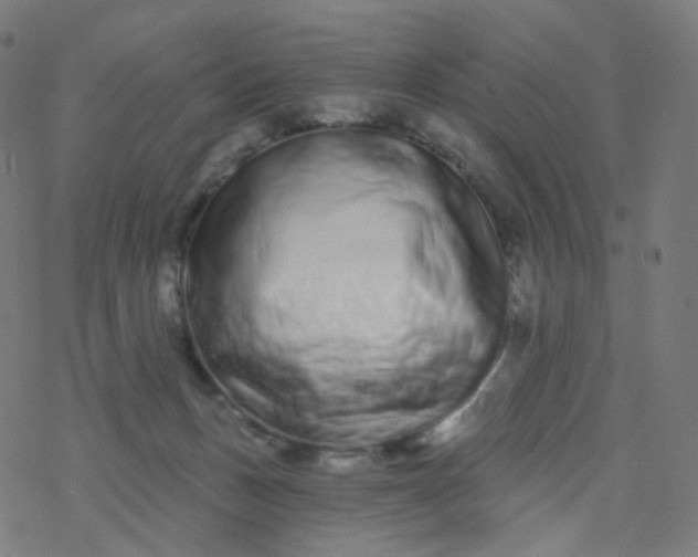 X0000077370175200611031920