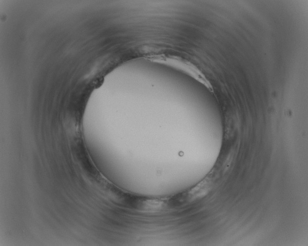 X0000077370176200611031920