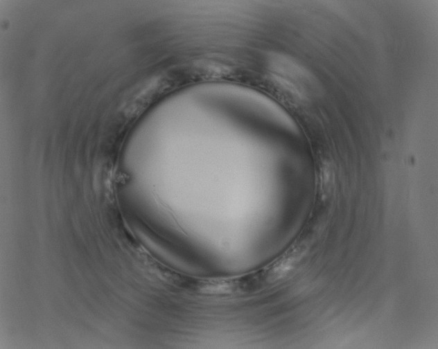 X0000077370177200611031920