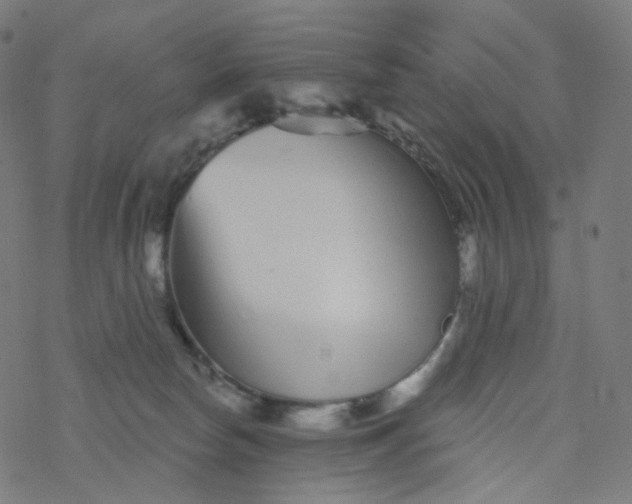 X0000077370178200611031920