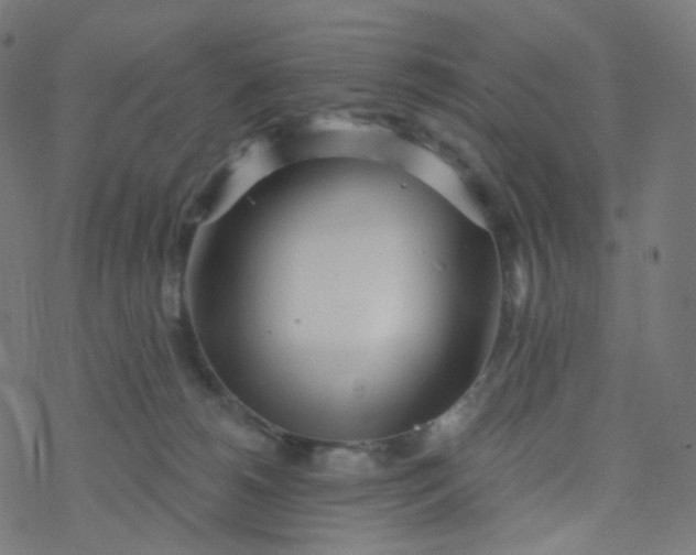 X0000077370180200611031920