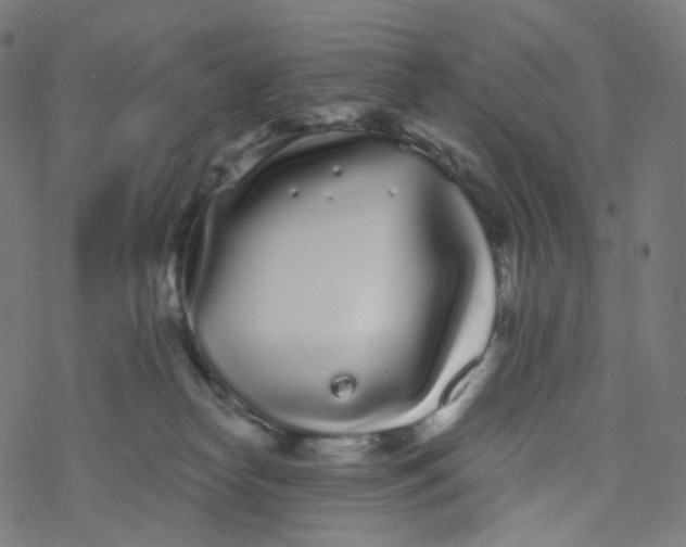 X0000077370182200611031920