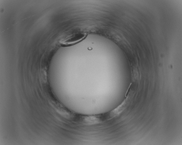 X0000077370183200611031920