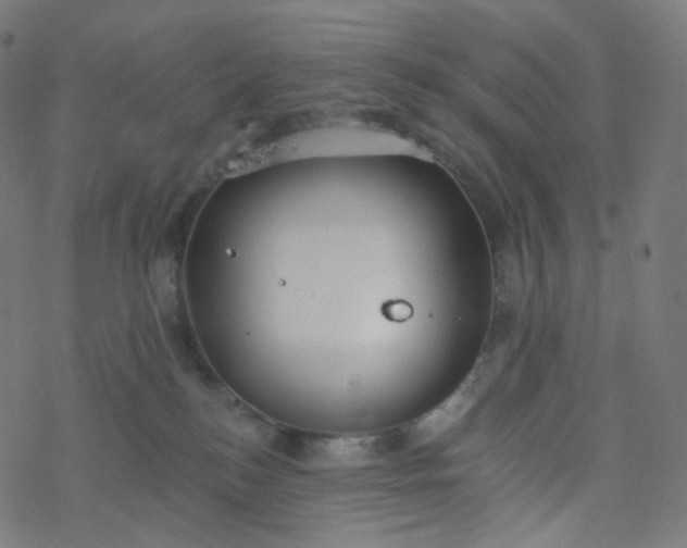 X0000077370184200611031920