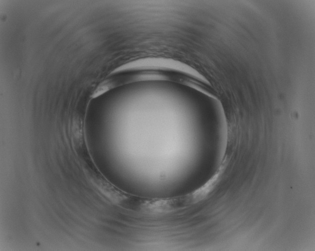 X0000077370186200611031920