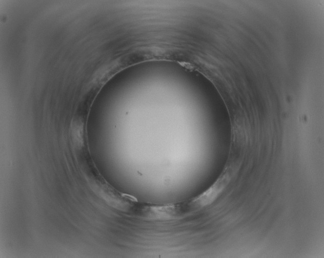 X0000077370188200611031920