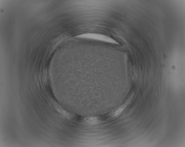 X0000077370189200611031920