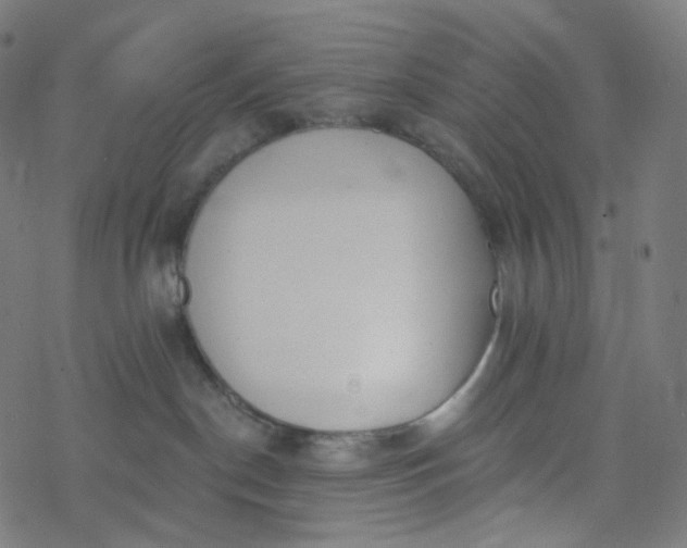 X0000077370190200611031920