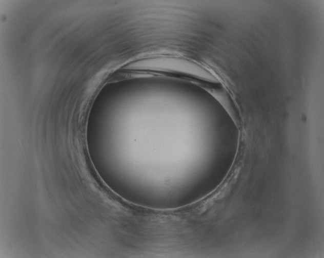 X0000077370193200611031920