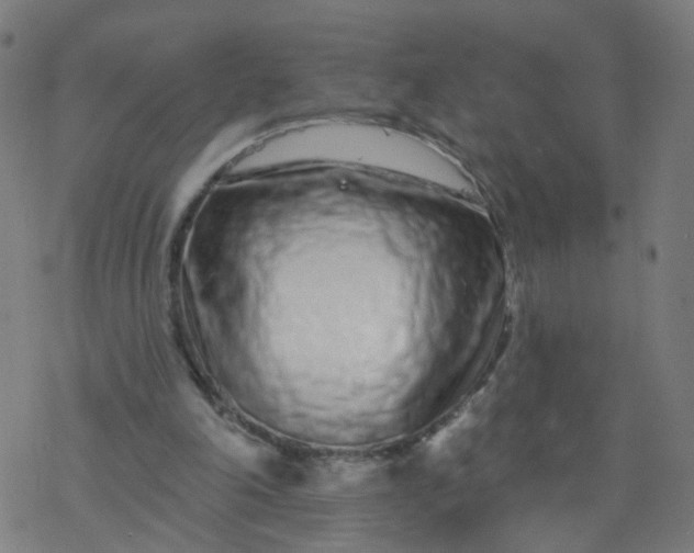 X0000077370198200611031920