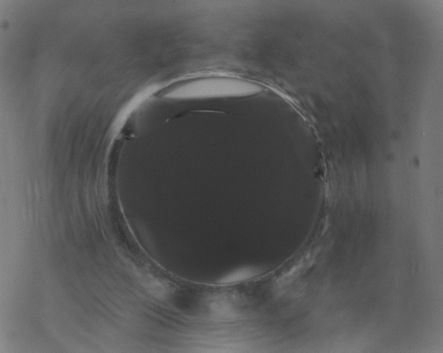 X0000077370200200611031920