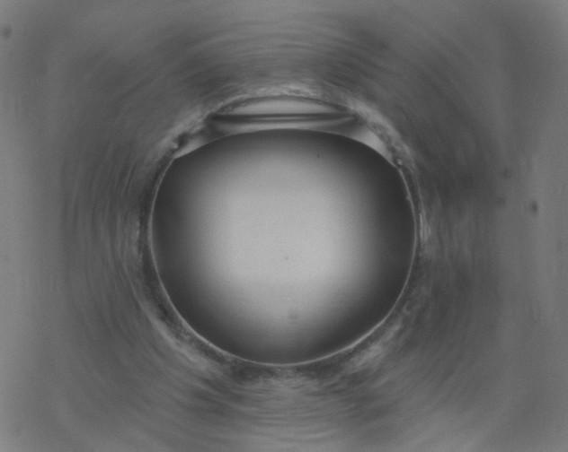 X0000077370201200611031920