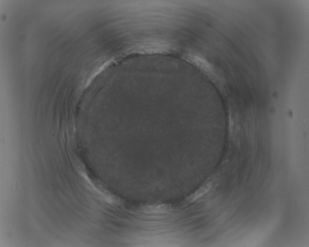 X0000077370202200611031920