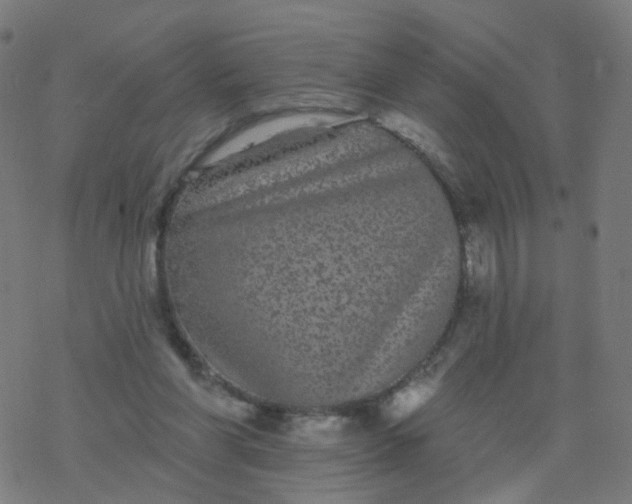 X0000077370206200611031919