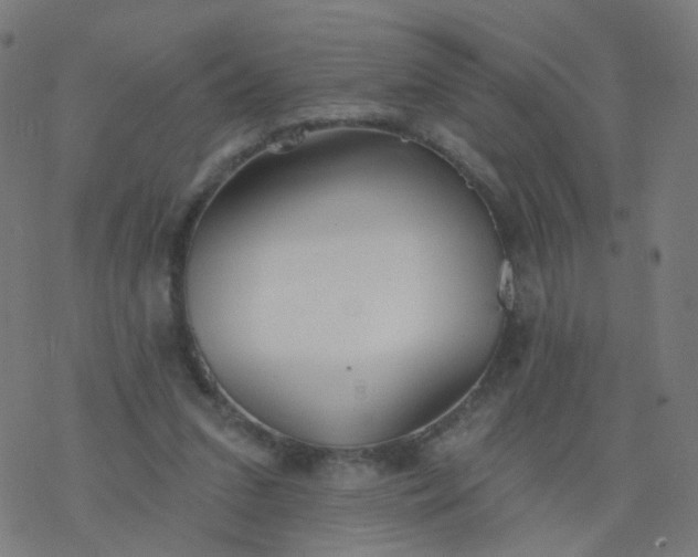 X0000077370207200611031919