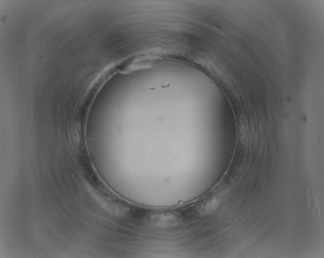 X0000077370208200611031919