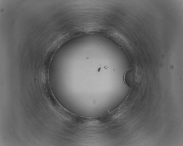 X0000077370210200611031919