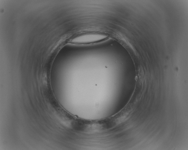 X0000077370212200611031919