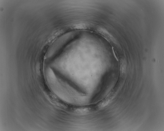 X0000077370213200611031919