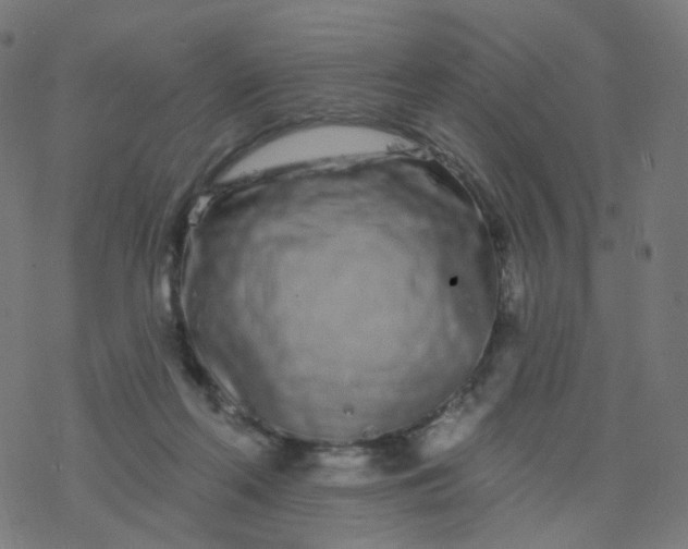 X0000077370214200611031919