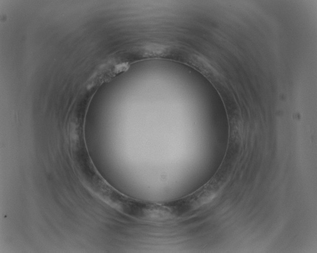 X0000077370215200611031919