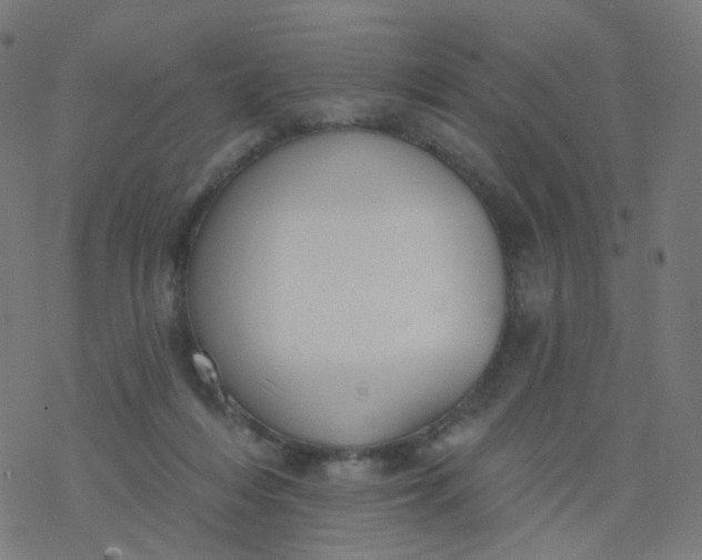 X0000077370216200611031919