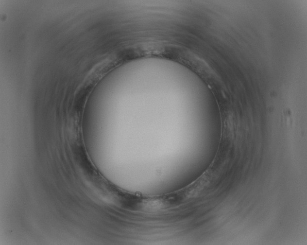 X0000077370218200611031919