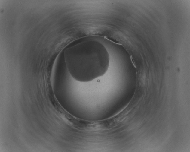 X0000077370219200611031919