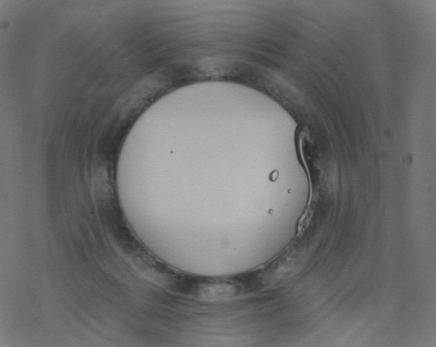 X0000077370220200611031919