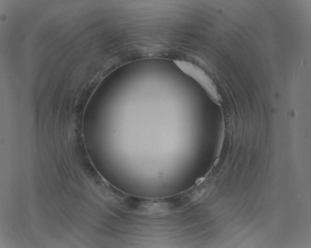 X0000077370221200611031919