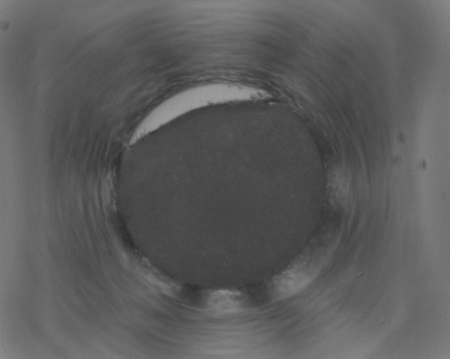 X0000077370222200611031919