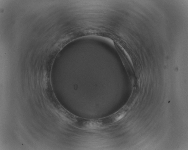 X0000077370223200611031919