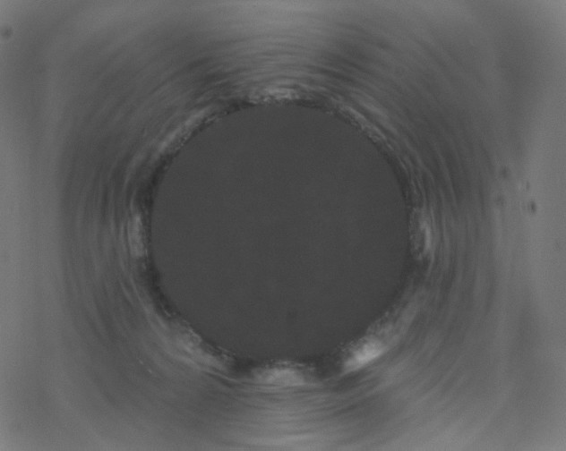 X0000077370224200611031919