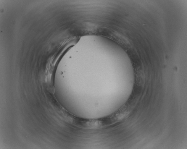 X0000077370225200611031919