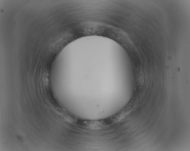 X0000077370226200611031919