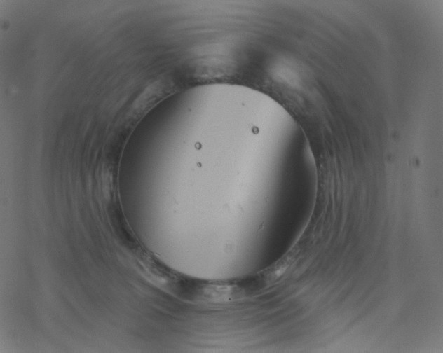 X0000077370227200611031919