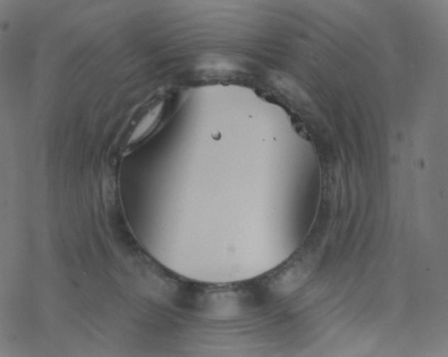 X0000077370228200611031919