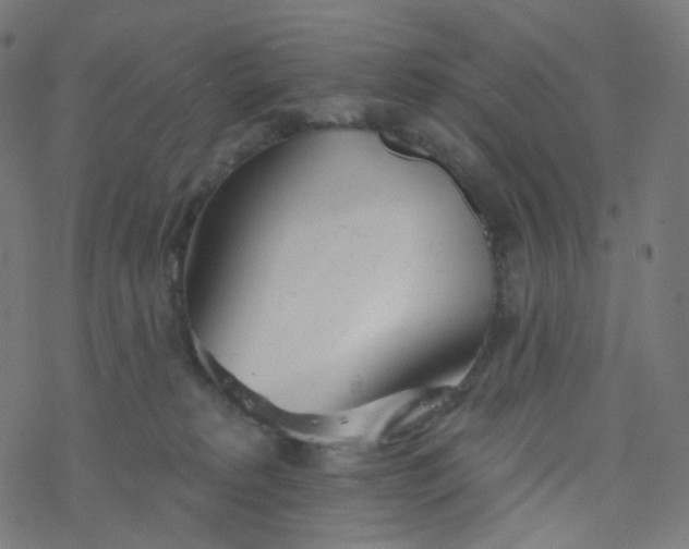 X0000077370229200611031919