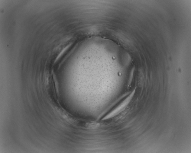 X0000077370230200611031919