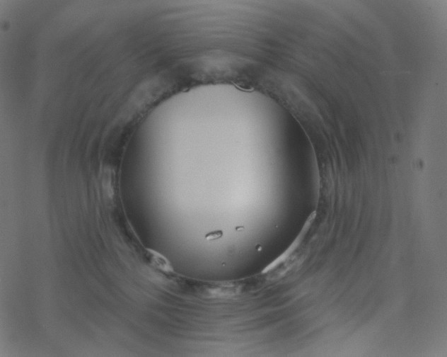 X0000077370232200611031919