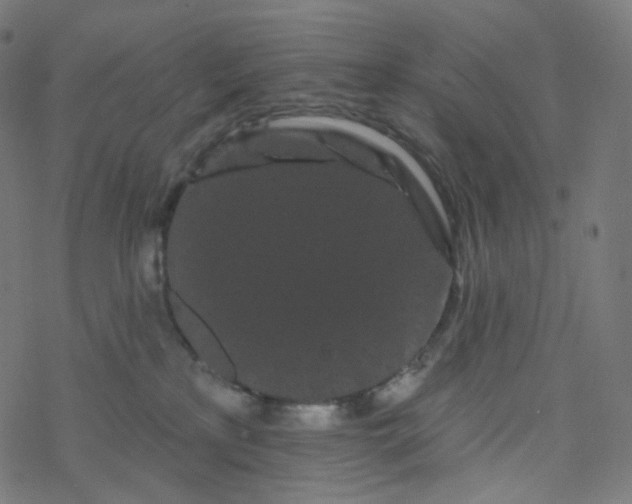 X0000077370233200611031919