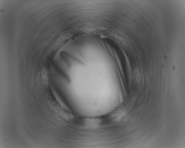 X0000077370234200611031919