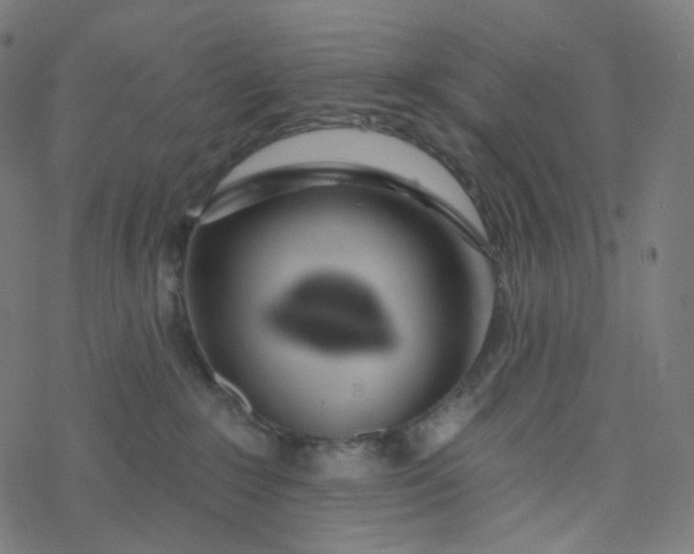 X0000077370235200611031919